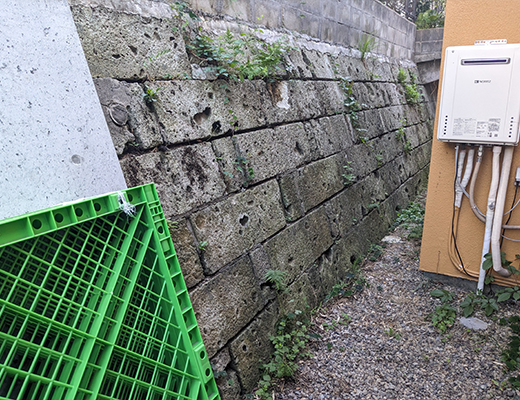 BEFORE